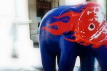 LuchasElephant