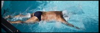 BellyFlop