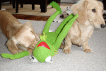 Frogicide