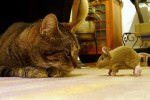 Standoff