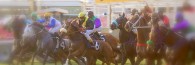 HorseRaceStart