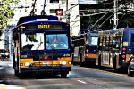 IMG_0773