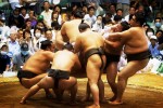 Sumo