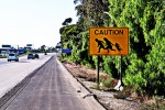 ImmigrantRoadSign